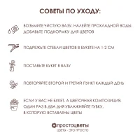 Букет Тюльпан 