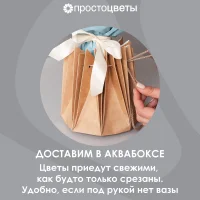 Букет Гвоздика 