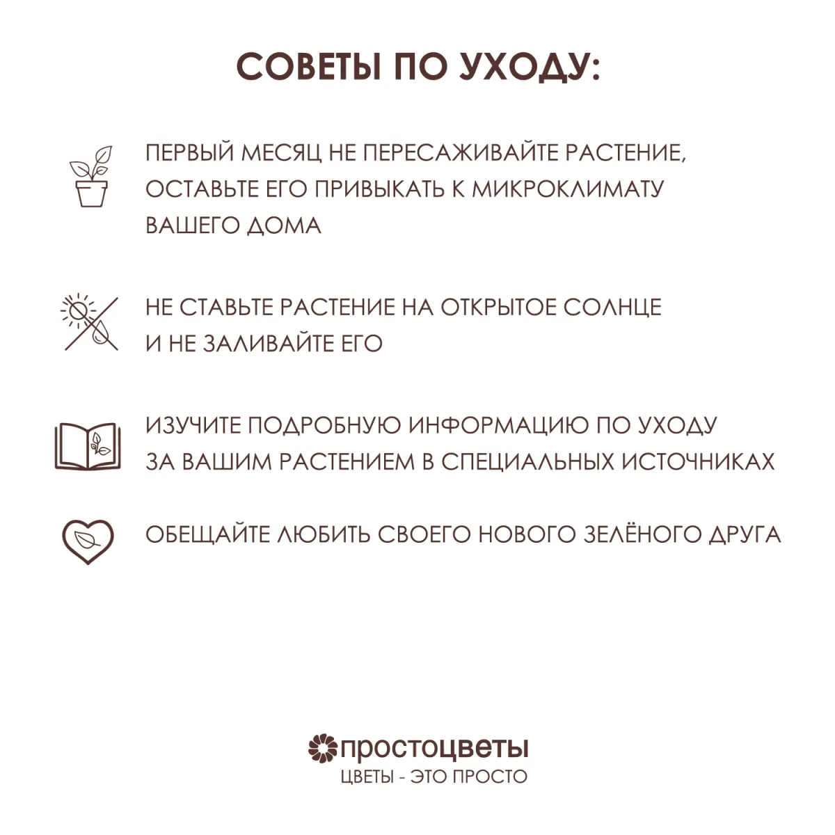 Фаленопсис Блоссом Блисс 3-4 ст_4
