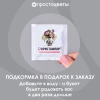я_4