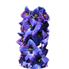 Дельфиниум